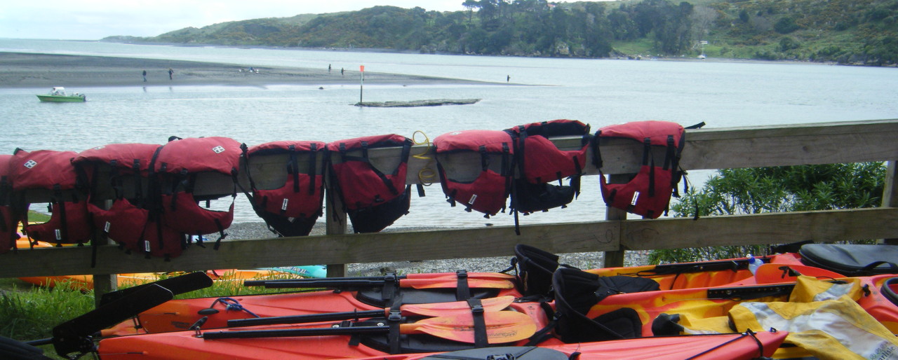 DSCF5329.JPG